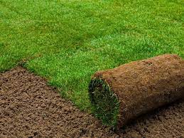 تركيب عشب جداري